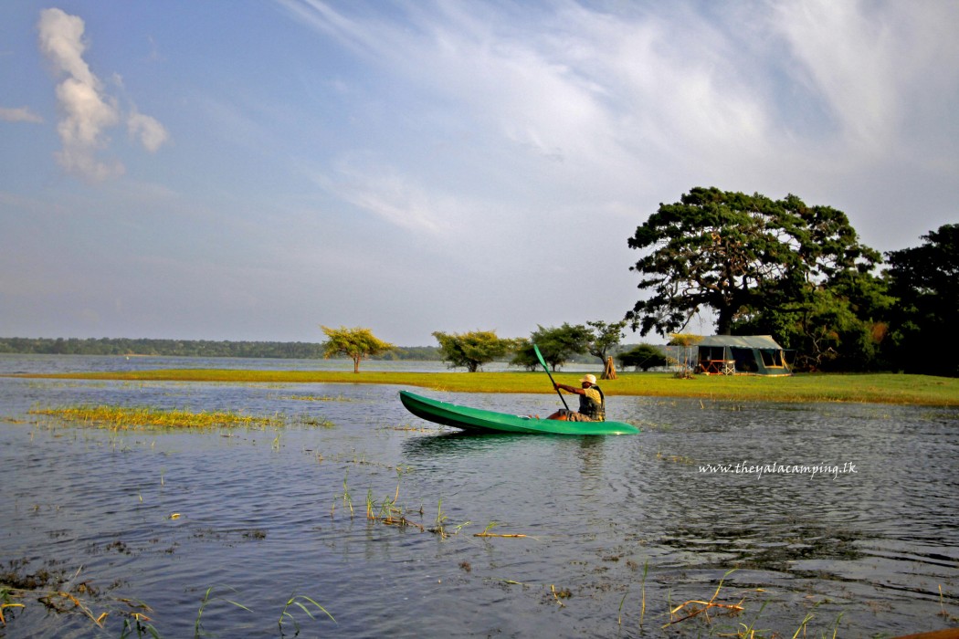 the yala camping
