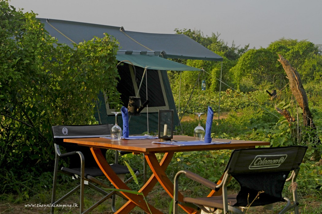 the yala camping