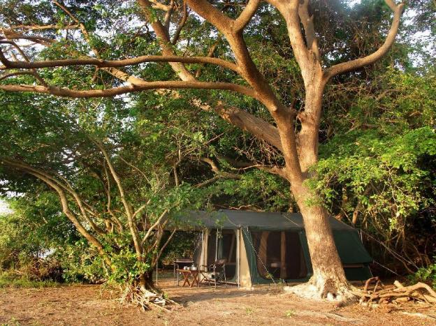 the yala camping