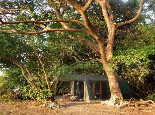 the yala camping