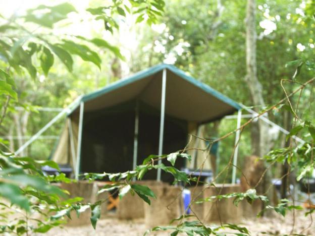 the yala camping