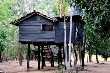 eagles wings guest house