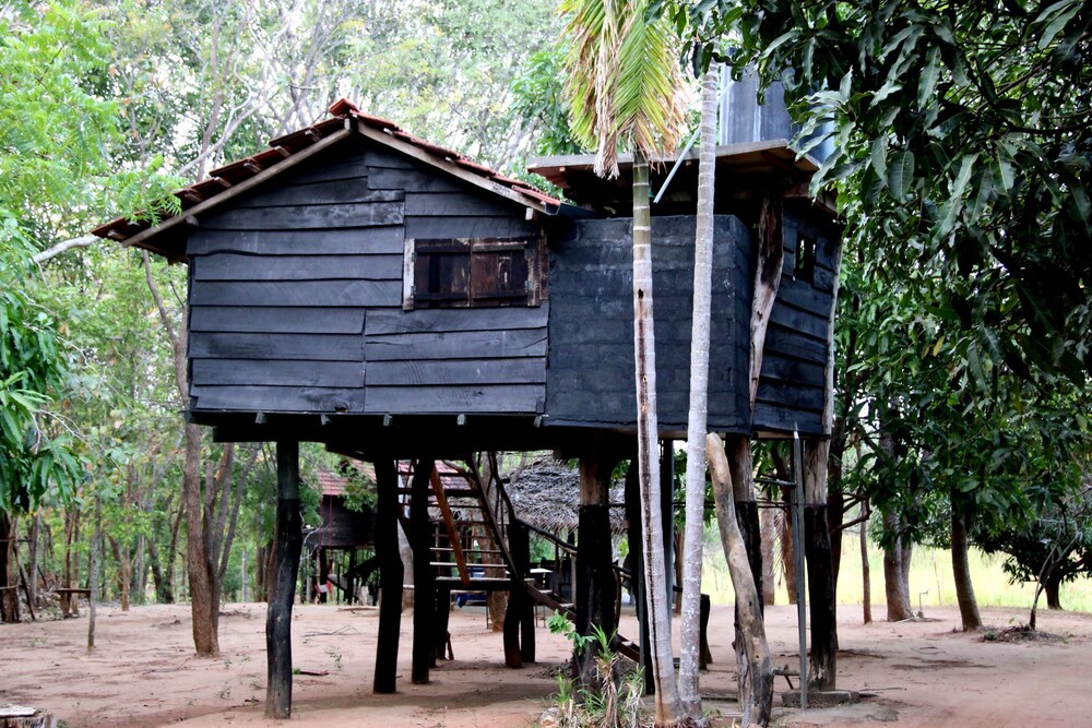 eagles wings guest house