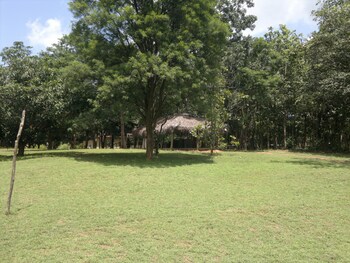 eagles wings guest house