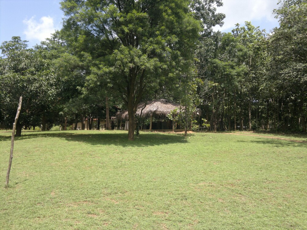 eagles wings guest house