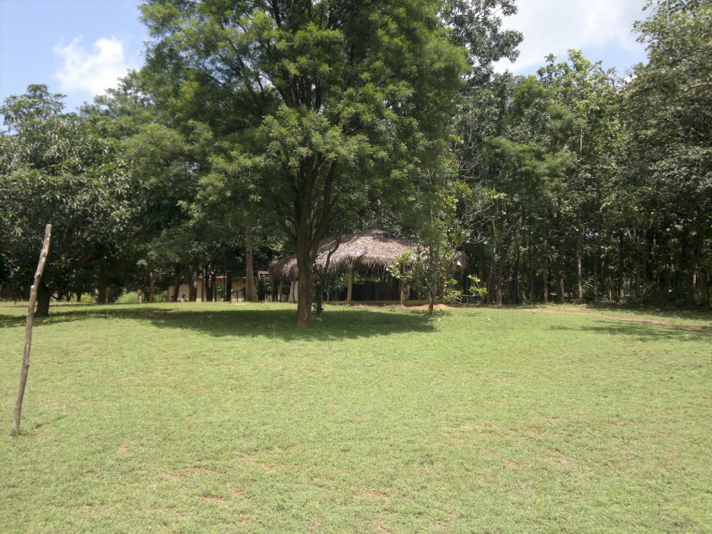 eagles wings guest house
