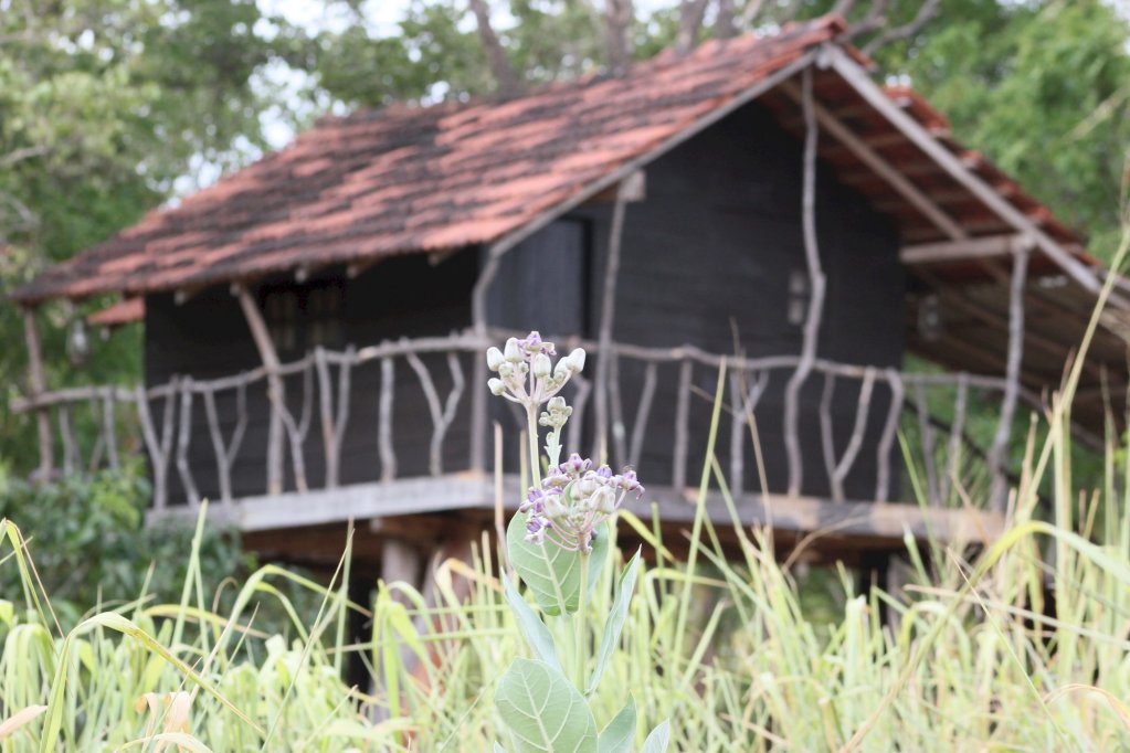 eagles wings guest house