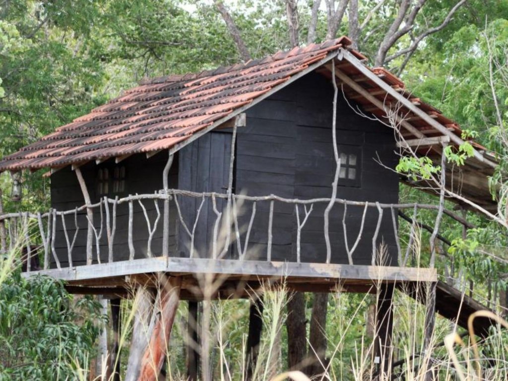 eagles wings guest house