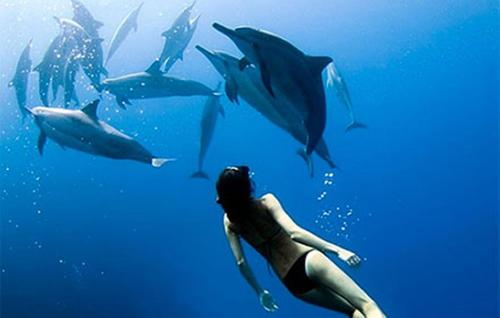 devocean eco adventure lodge