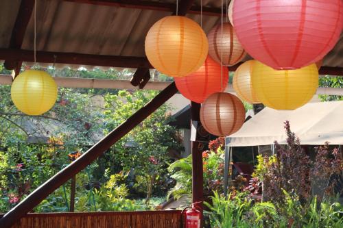 devocean eco adventure lodge