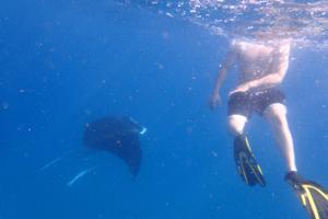 devocean eco adventure lodge