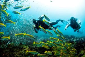 devocean eco adventure lodge