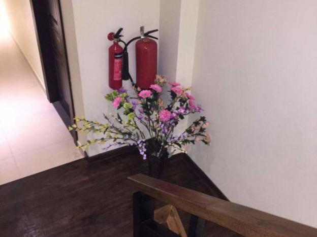 splendid holiday guest house