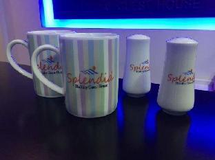 splendid holiday guest house