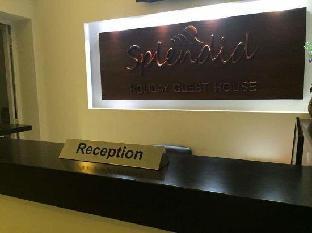 splendid holiday guest house