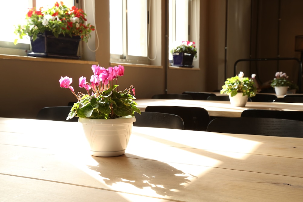 the post hostel