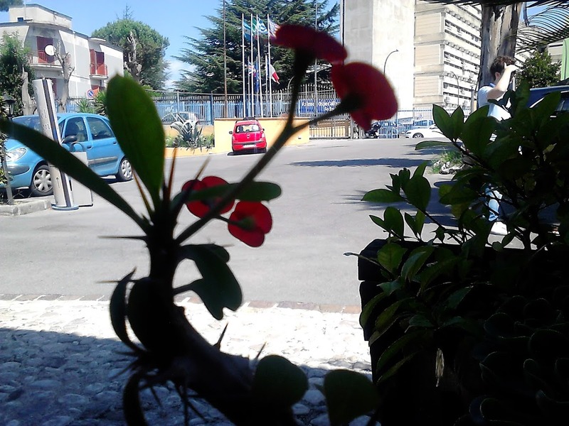 Hotel Federico Ii,Mugnano Di Napoli>>Campania,3 star