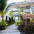 summer luxury beach resort and spa