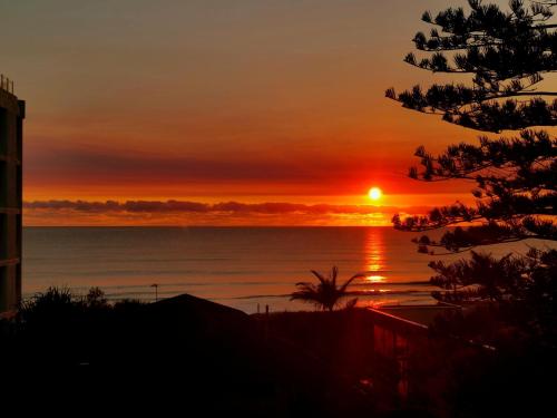 surfers paradise