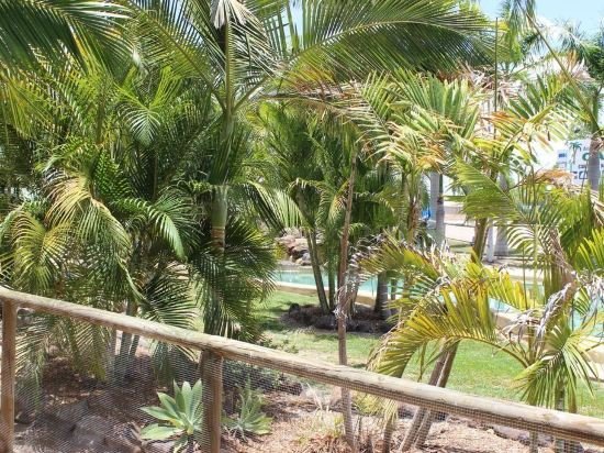 aussie outback oasis cabin and van village