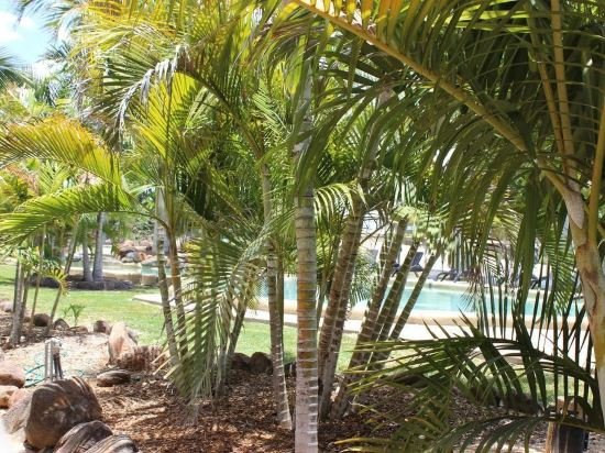 aussie outback oasis cabin and van village