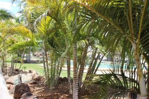 aussie outback oasis cabin and van village