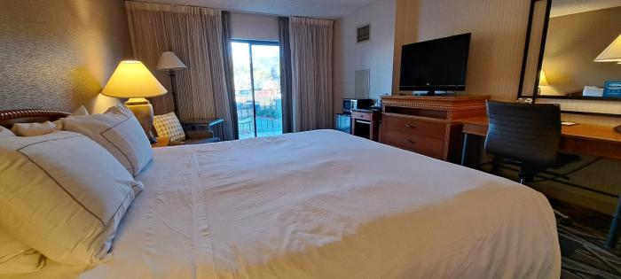 doubletree by hilton durango