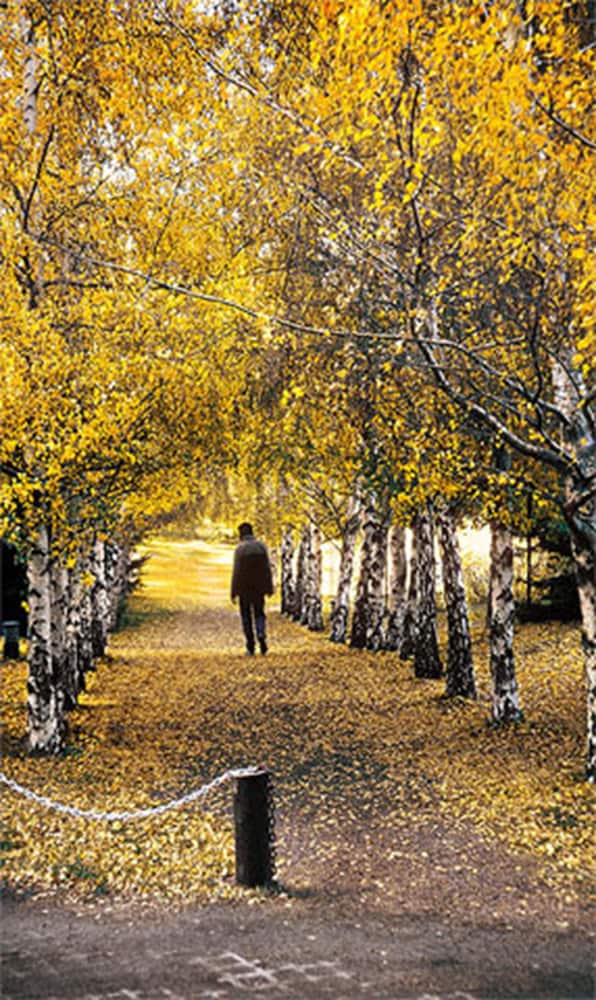 san carlos de bariloche