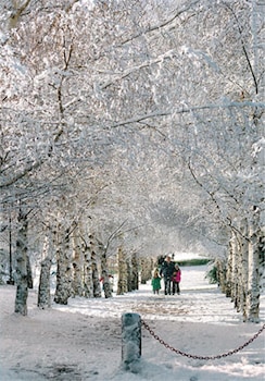 san carlos de bariloche