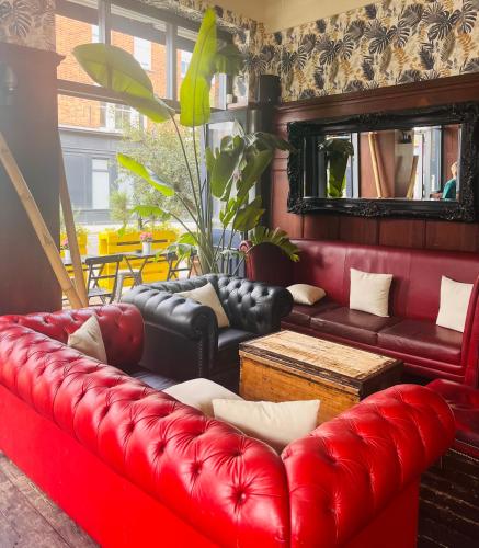The Captain Cook Hotel,203-205 Dawes Rd,3 star
