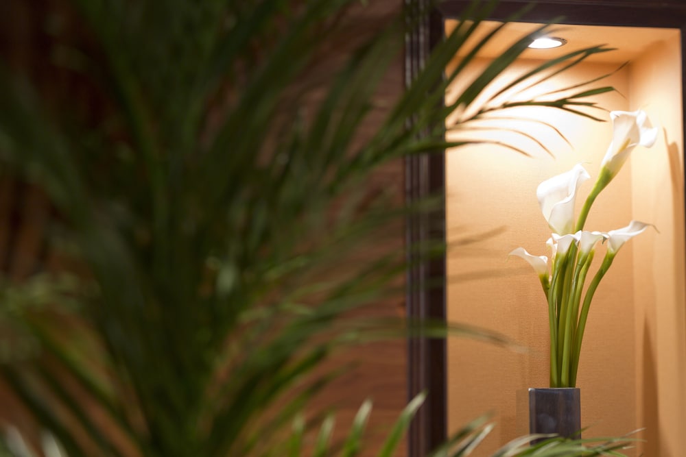 hotel watergate okayama adults only