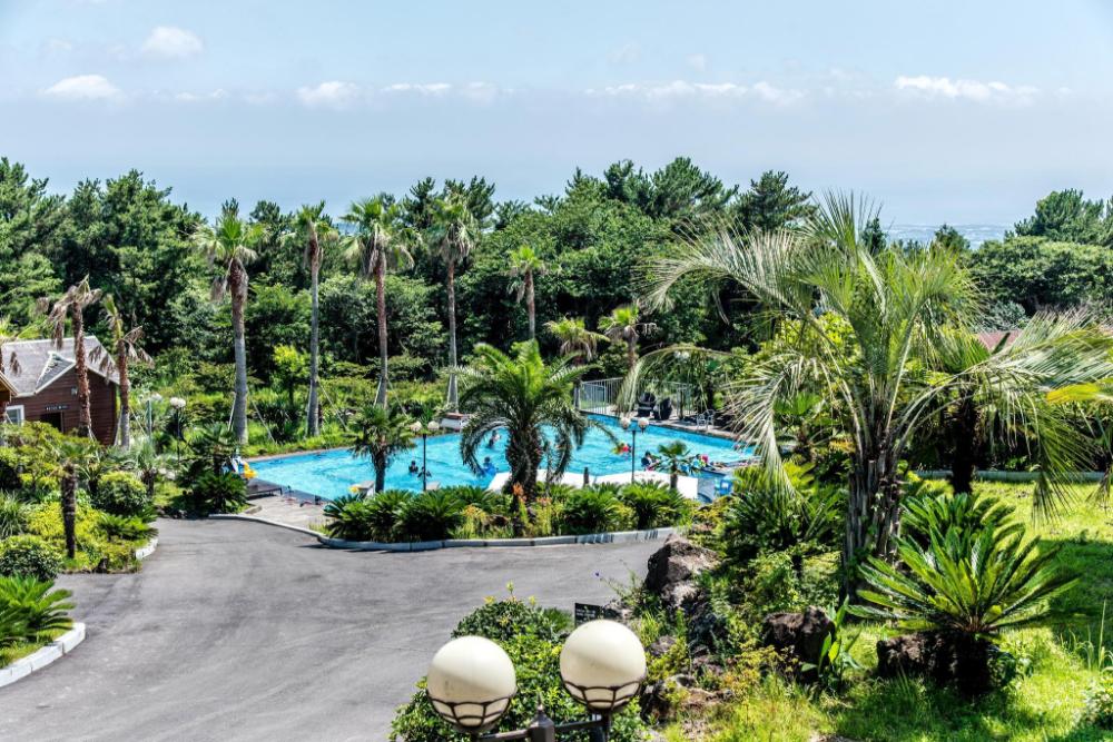 jeju ive resort