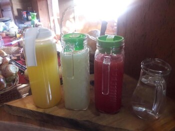 santo antonio do pinhal