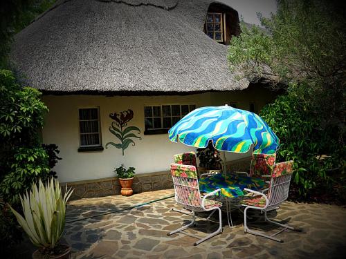 parrot lodge