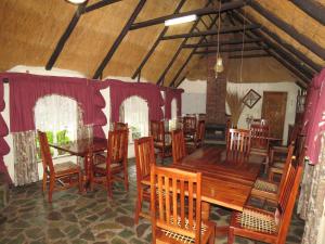 parrot lodge