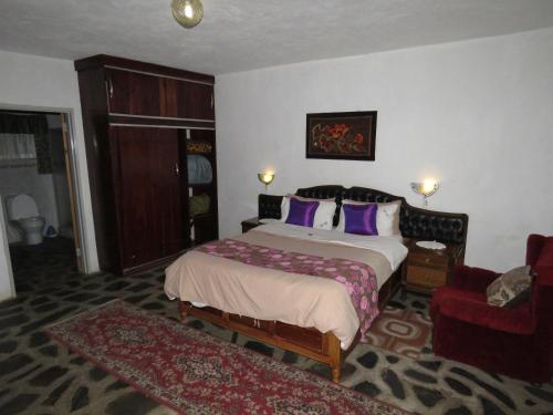 parrot lodge