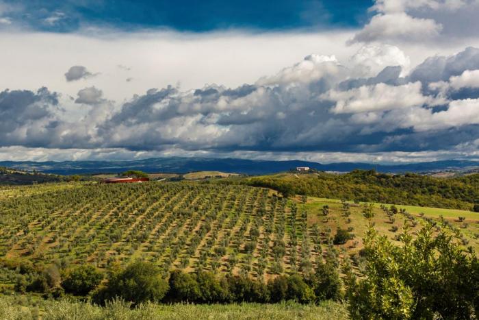 tenuta di montecucco collemassari hospitality