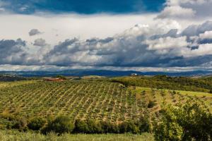 tenuta di montecucco collemassari hospitality