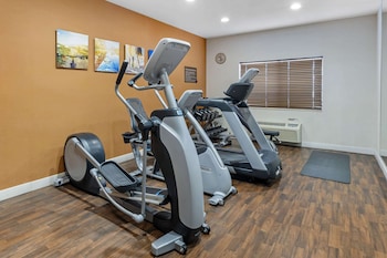 comfort suites normal university area