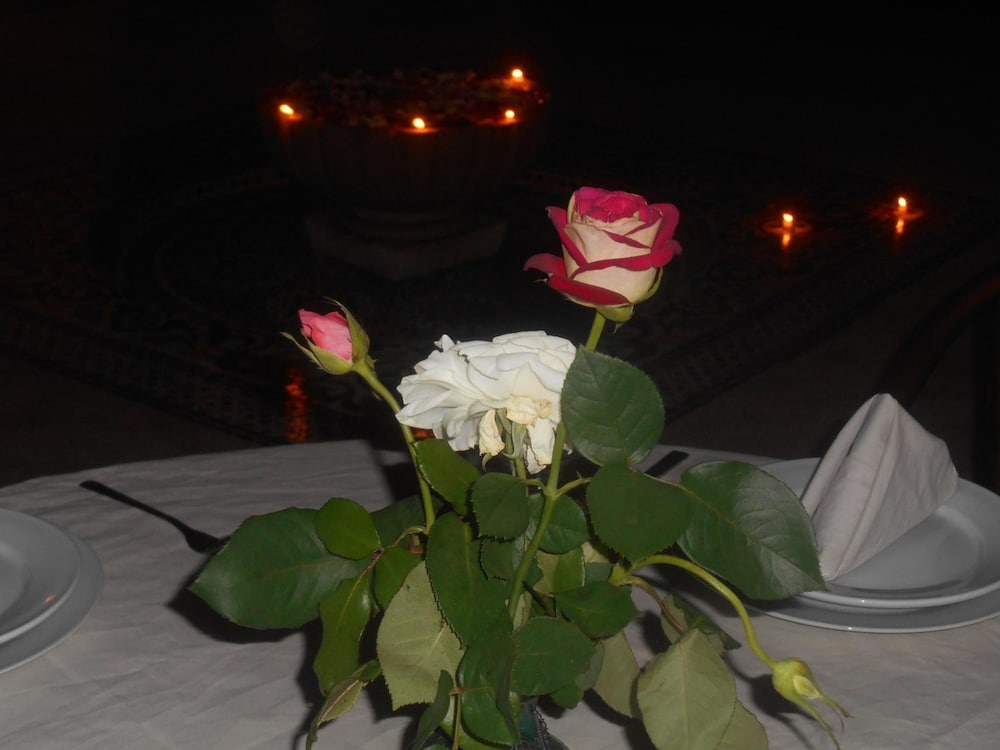 riad dar nador