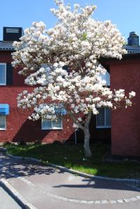 slagsta motell and wardshus