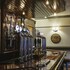 the bulls head