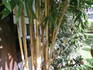 balay tuko garden inn