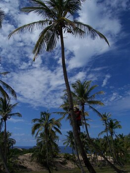 inhambane