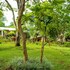 blantyre