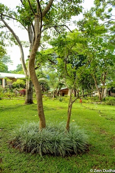 blantyre