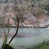 cerveteri