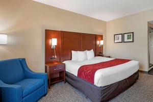 comfort suites fredericksburg north