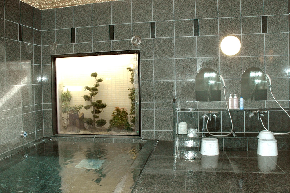 hotel route inn ichinoseki inter