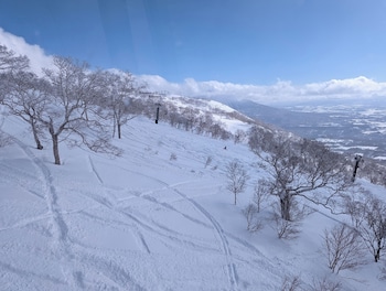niseko